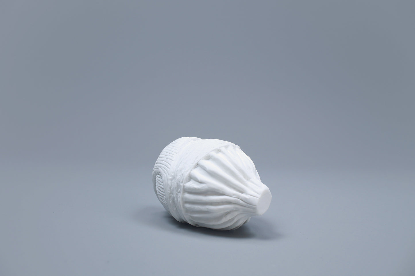 OCEANUS BLADDER