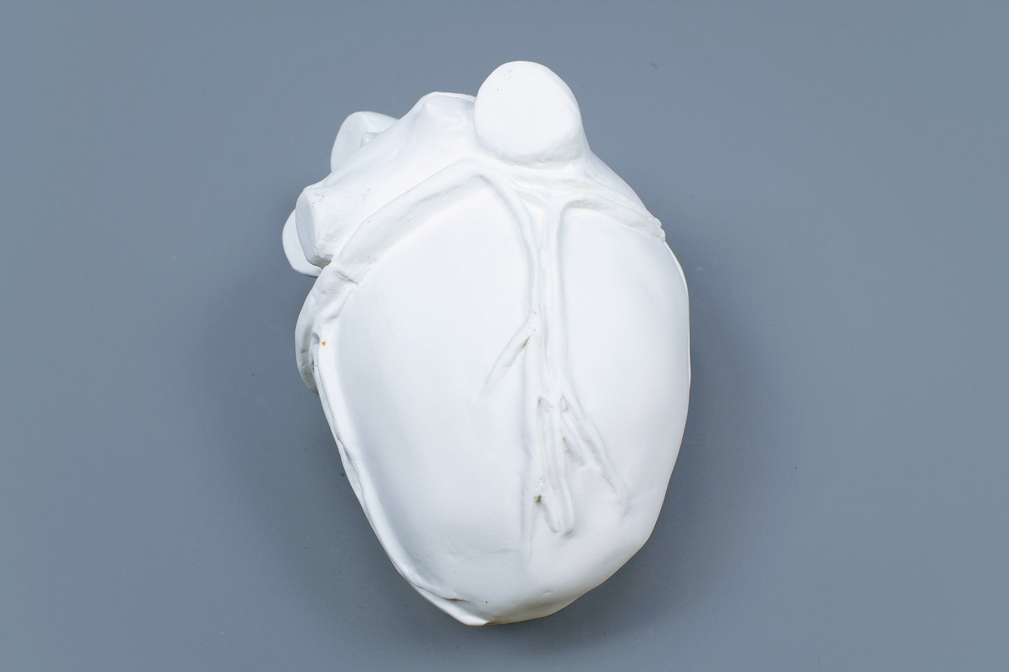 OCEANUS HEART